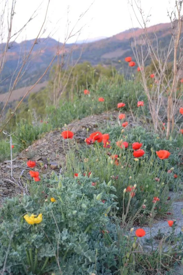 Cal Campana Bed & Breakfast Gratallops 4*,  Spain